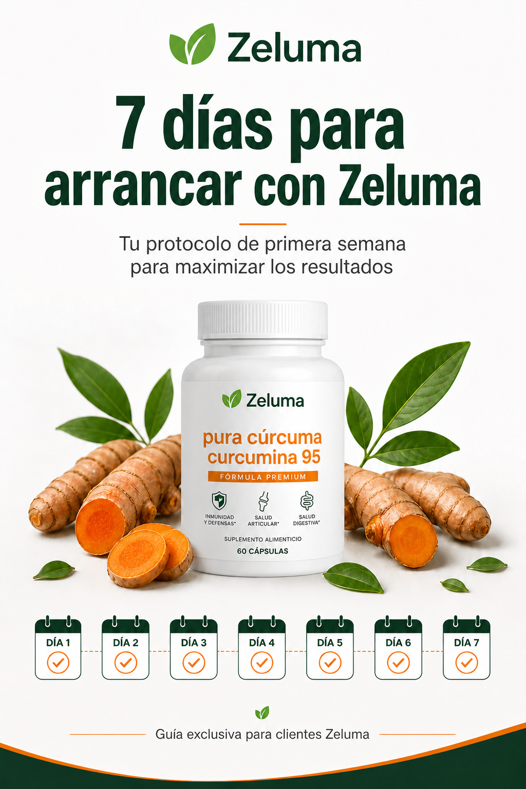 "7 días para arrancar con Zeluma: Qué hacer la primera semana para maximizar los resultados"